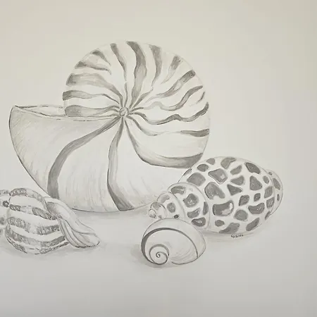 Апартаменты Le Conchiglie