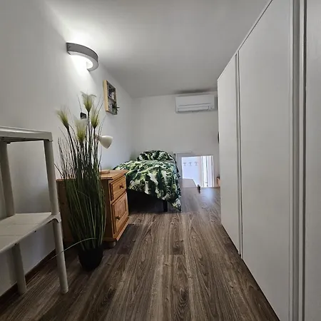 Le Conchiglie *